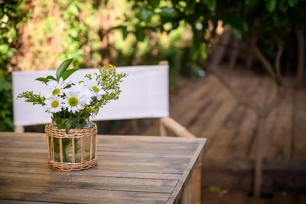 Villa Jasmines The Perfect Villa For Relaxation And Chilling Estepona